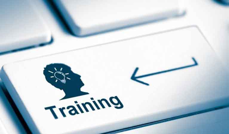 online-Training