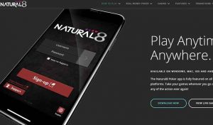 Natural8 Unveils Free Bubble Insurance for Early Birds