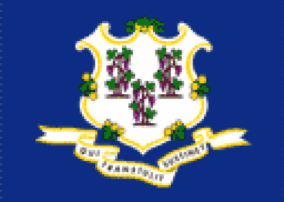 Connecticut State Flag