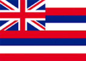 Hawaii State Flag