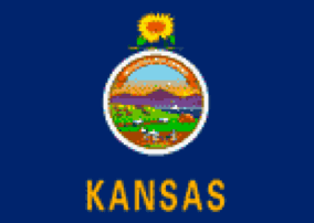 Kansas State Flag