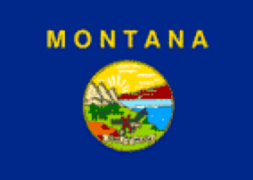 Montana State Flag