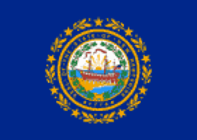 New Hampshire State Flag