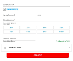 poker interface to make a deposit